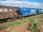 RUMO HTT-352946-1